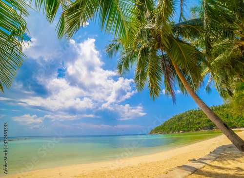 Fototapeta Naklejka Na Ścianę i Meble -  Paradise Sunny beach with palms and turquoise sea. Summer vacati