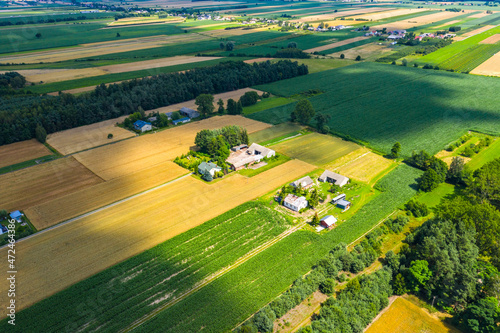 Fototapeta Naklejka Na Ścianę i Meble -  Green fields aerial view before harvest at summer