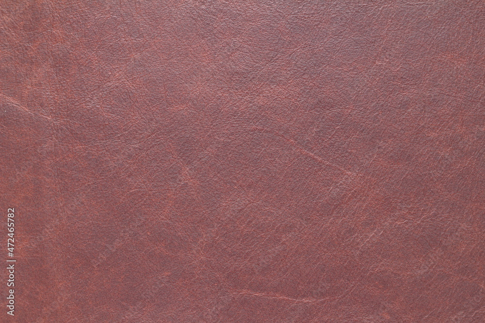 Fototapeta premium skin texture