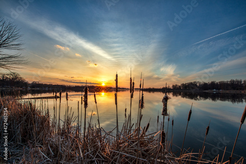 sunset on the lake through the cattails