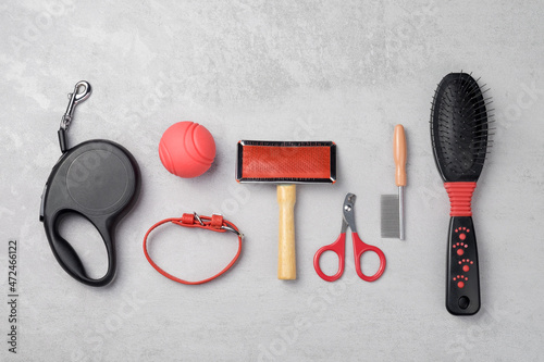 Photography Accessories for dogs: food bowl, hairbrush, ball, nail clippers, collar