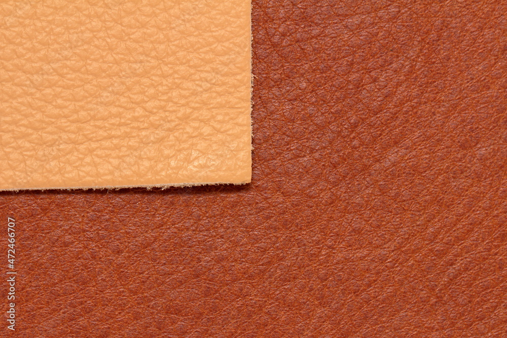 Fototapeta premium samples of genuine leather in different colors