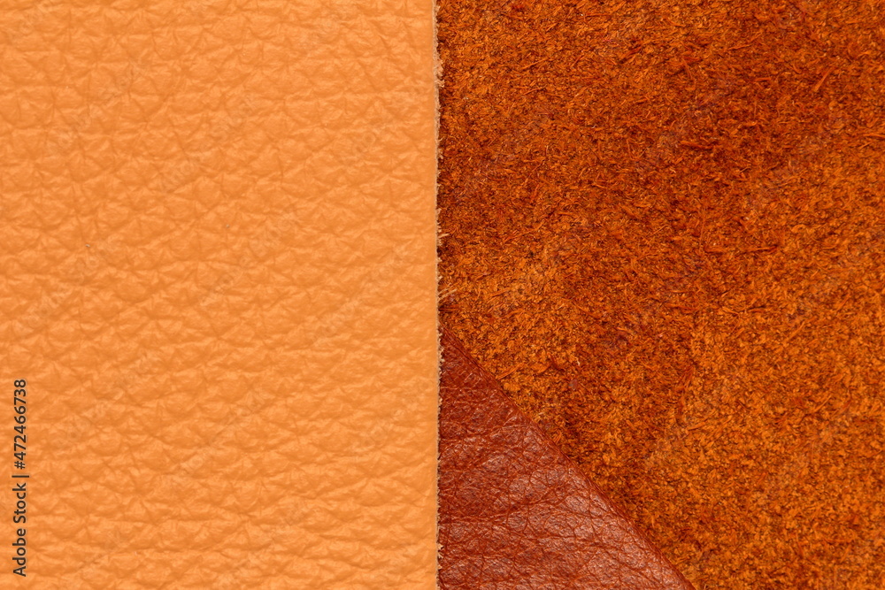 Fototapeta premium samples of genuine leather in different colors