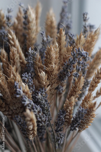 close up of wheat