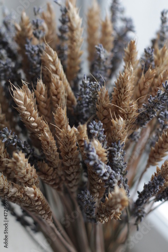dry flowers