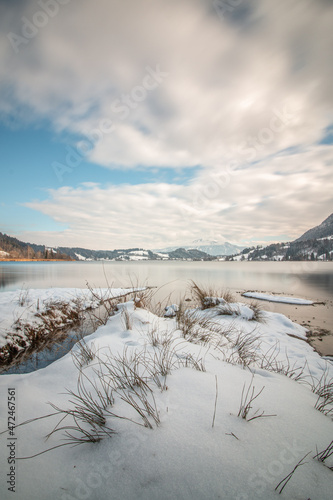 Am großen Alpsee bei Immenstadt im Allgäu im Winter