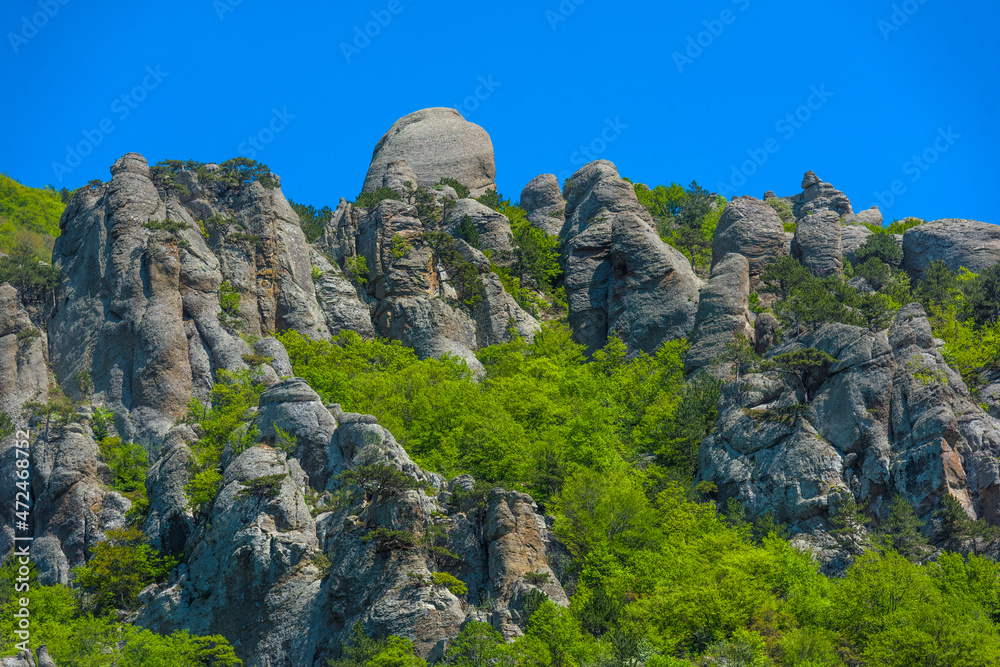 Rock pillars in Valley of Ghosts of the mountain range Demerji,