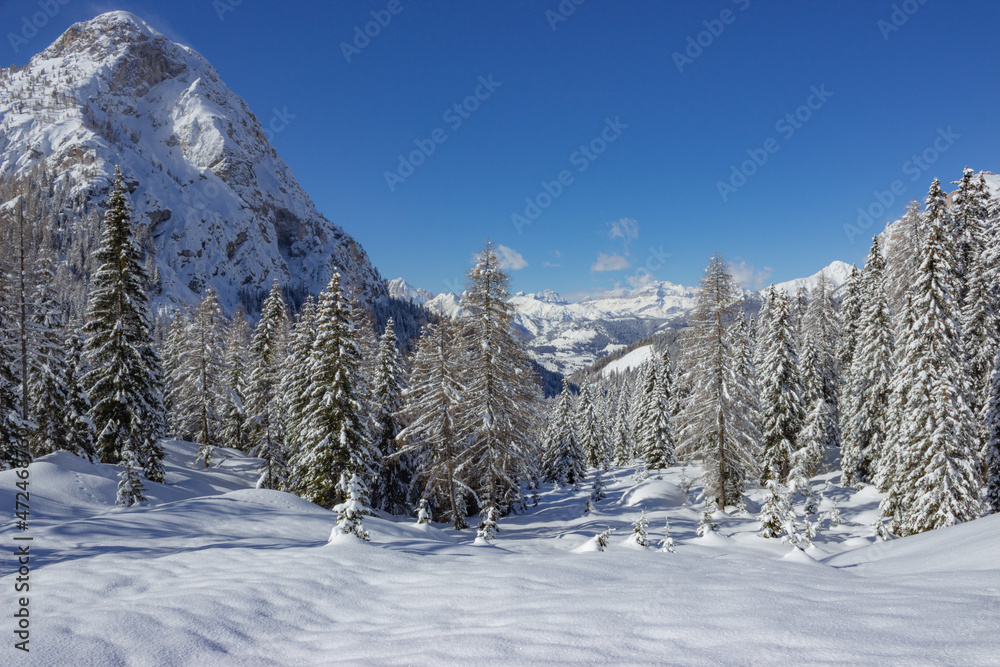 Winter landscape of the Italian mountains. View of the forest covered with fresh snow and the mountains with Monte Pelmo on the left and the blue sky in the background. Holidays and Christmas concept.