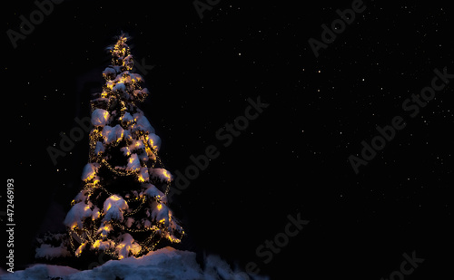 Beleuchteter Schneebedeckter Tannenbaum in einer dunklen Winternacht