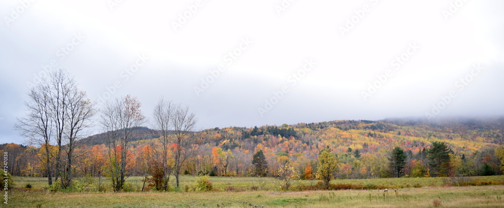 Autumn Fields Autumn Fields