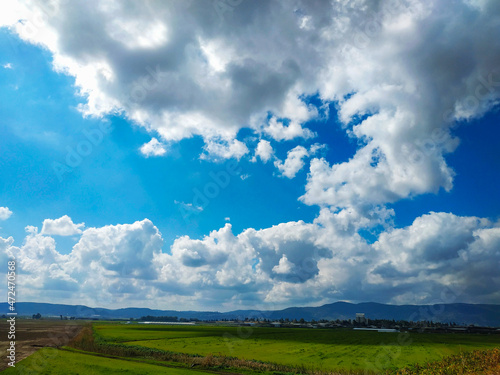 field and blue sky izrael valley  israel