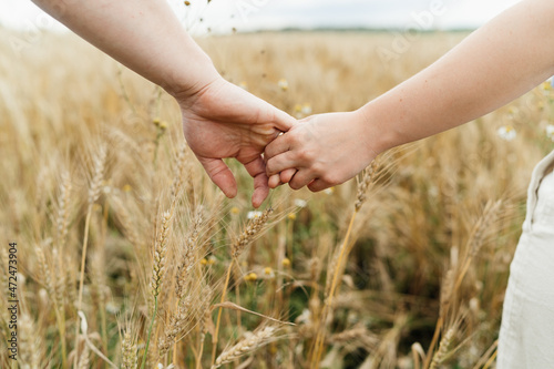 man s and woman s hand  couple walking by hand  wheat field. High quality photo