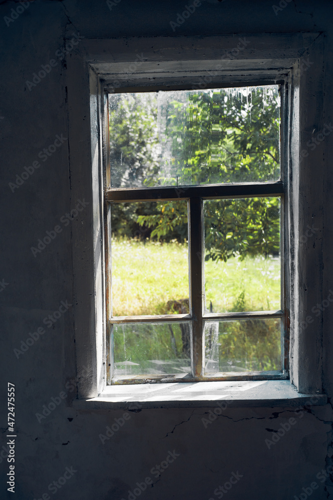 Fototapeta premium woman paints house decoration interior renovation painter