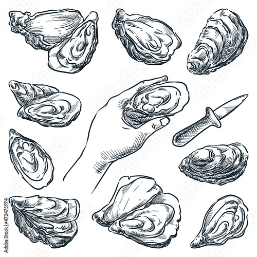 Oysters collection. Oyster knife and human hand holding open mussel. Hand drawn vector sketch illustration