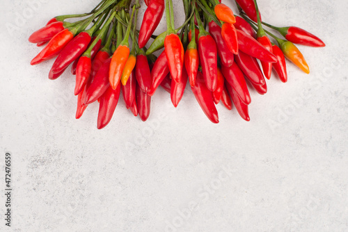 Red hot chilli pepper on a white textured background, ingredients for spicy food, copy space for text