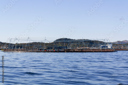 Fish farming in Norway sea © raquel