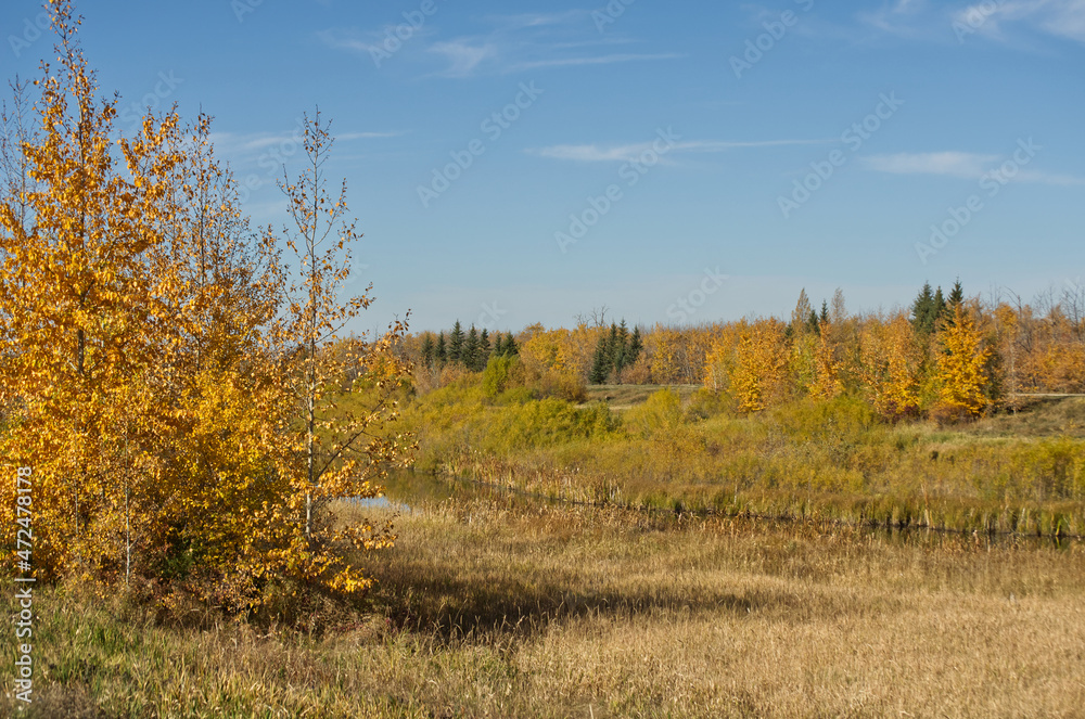 Fototapeta premium Autumn at Pylypow Wetlands in Edmonton, AB