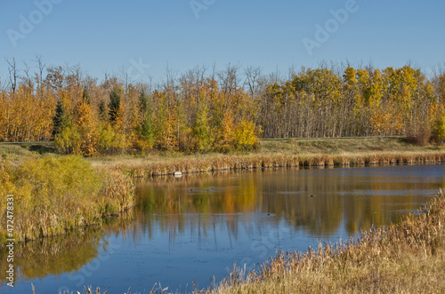 Autumn at Pylypow Wetlands in Edmonton, AB