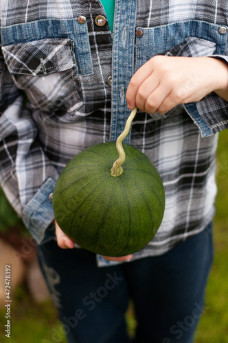 Принти на полотні a child in a shirt is holding a watermelon plucked from the garden by the tail