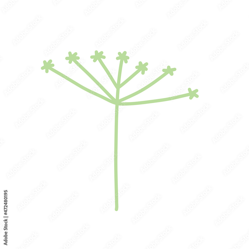Dill in doodle style. Meadow green plant and spice. Simple natural grass. Cartoon illustration
