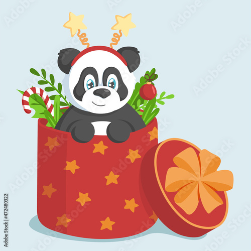 Cute panda in a red big box with branches, leaves and Christmas decor. Holiday concept.