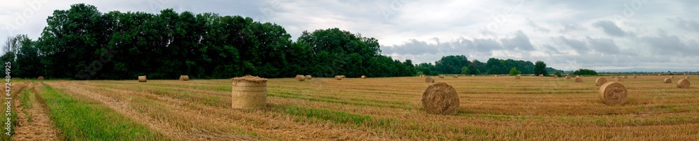 Panorama of bright yellow and golden haystacks on an agricultural field on a sunny summer day. Panorama of bright yellow and golden haystacks on an agricultural field on a sunny summer day.