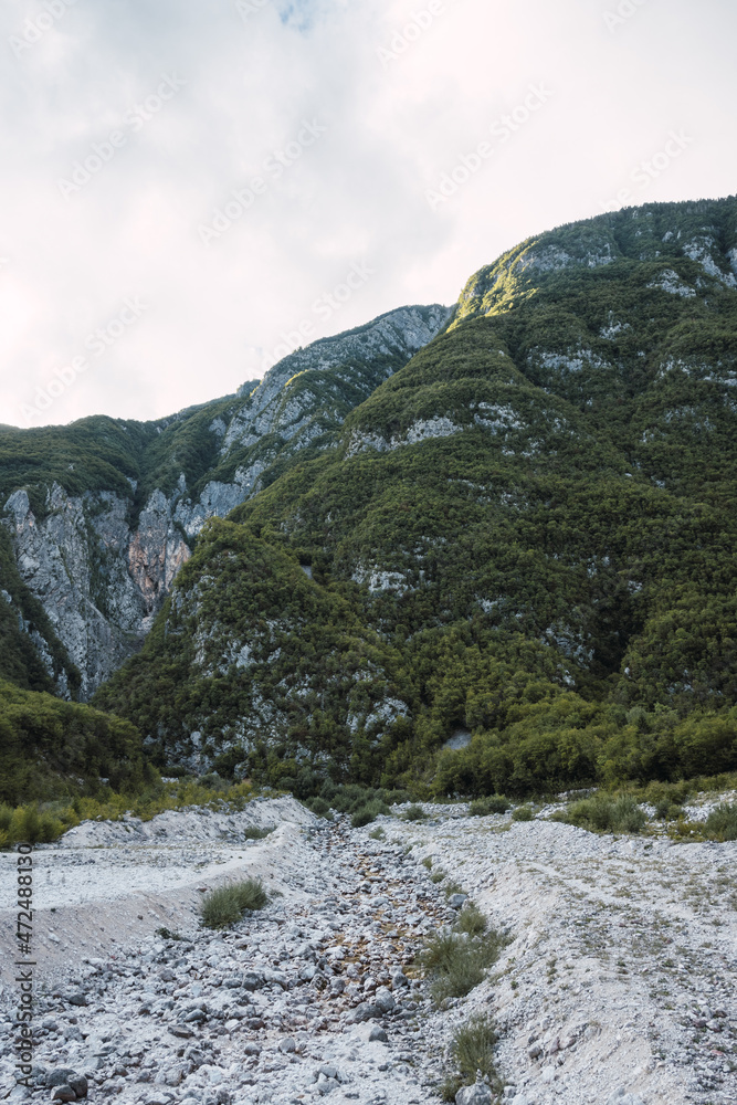 landscape of a forest with mountains and trees landscape of a forest with mountains and trees