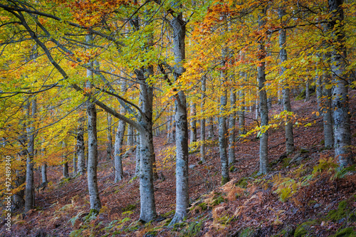 Hillside colorful autumn landscape at Manteigas - Serra da Estrela - Portugal.