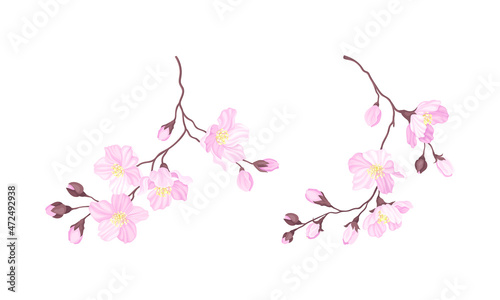 Blooming cherry branches set. Sakura twigs with pink flower buds vector illustration