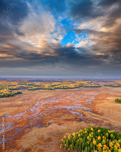 Amazing autumn colorful of swamp in North, air photo