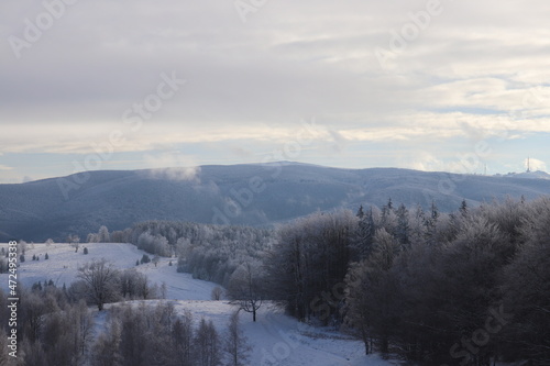 winter landscape with fog © hulbar