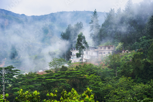 Foggy morning in the mountains in Sri Lanka