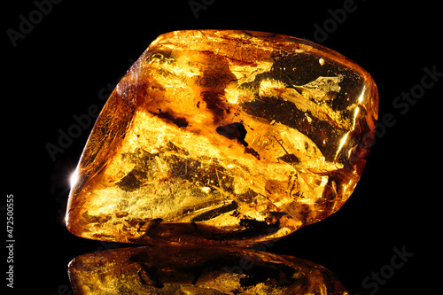 Amber. Beautiful transparent natural amber with mosquito on black background. Natural mineral with various inclusions, insects, bubbles