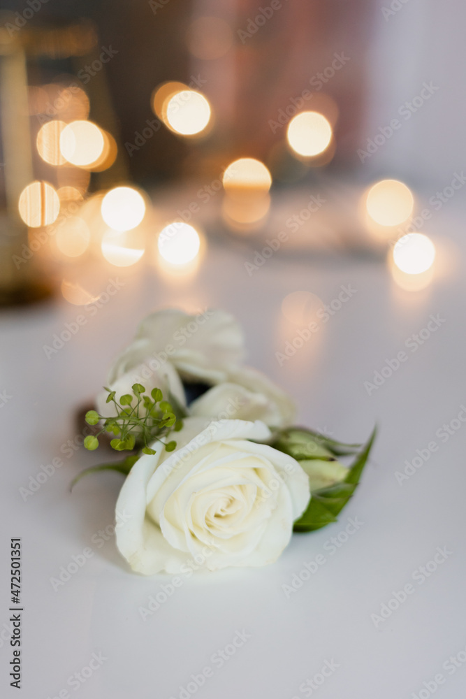 Obraz premium White rosebud on the table