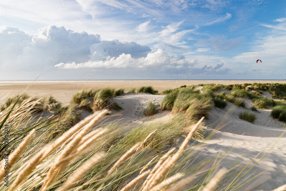 Dünen auf Borkum