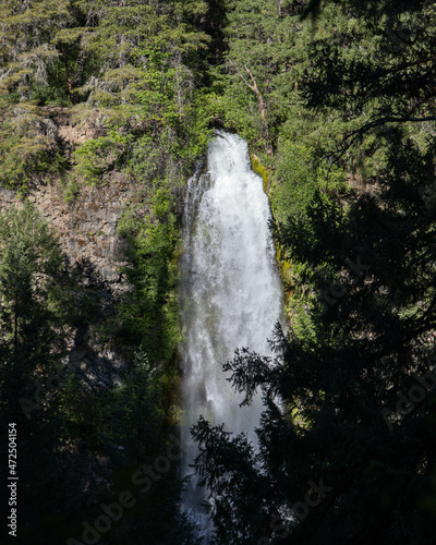 waterfall in the forest