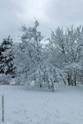 Winter view panorama of South Park in city of Sofia, Bulgaria