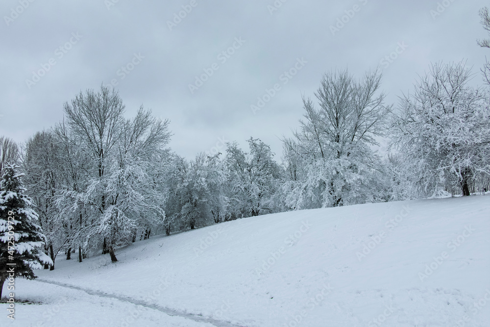 Winter view panorama of South Park in city of Sofia, Bulgaria Winter view panorama of South Park in city of Sofia, Bulgaria