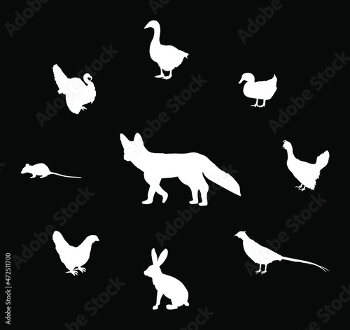 Cunning hungry fox lurks prey vector silhouette illustration isolated. Smart animal predator. Fox hunting hen chicken goose, turkey. Farm chantry poultry in danger. Rabbit, rats, pheasant, wood goose.