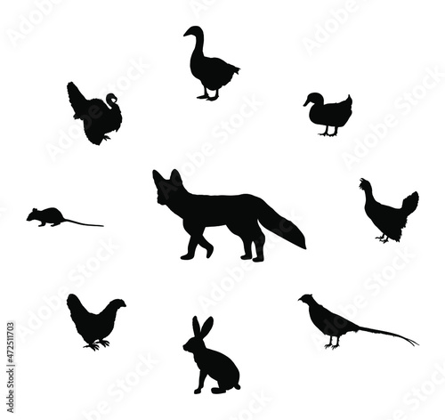 Cunning hungry fox lurks prey vector silhouette illustration isolated. Smart animal predator. Fox hunting hen chicken goose, turkey. Farm chantry poultry in danger. Rabbit, rats, pheasant, wood goose.