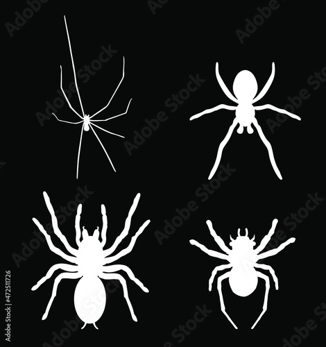 Set collection of spider vector silhouette illustration isolated on black background. Black widow tattoo sign. Daddy long legs spider, Phalangium opiliones. Tarantula symbol. 