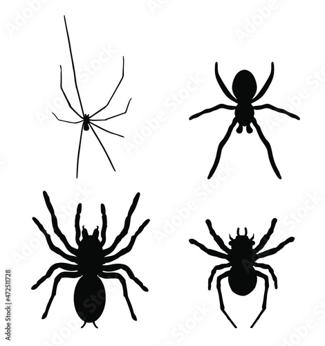 Set collection of spider vector silhouette illustration isolated on white background. Black widow tattoo sign. Daddy long legs spider, Phalangium opiliones. Tarantula symbol. 