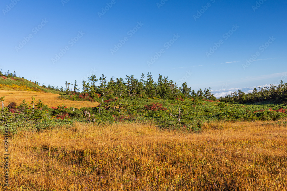 Towada Hachimantai National Park in Autumn Towada Hachimantai National Park in Autumn