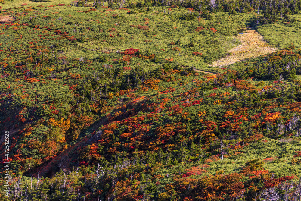 Towada Hachimantai National Park in Autumn