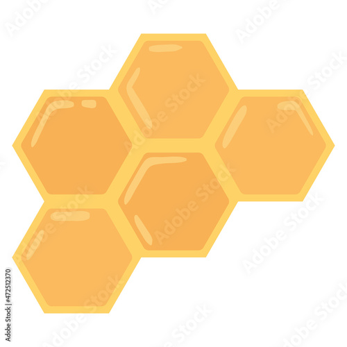 bee honeycomb with honey