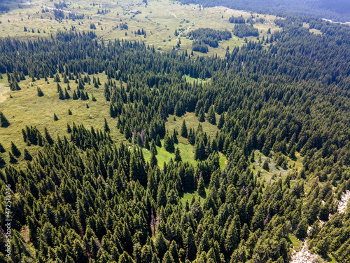Aerial view of Konyarnika area at Vitosha Mountain  Bulgaria