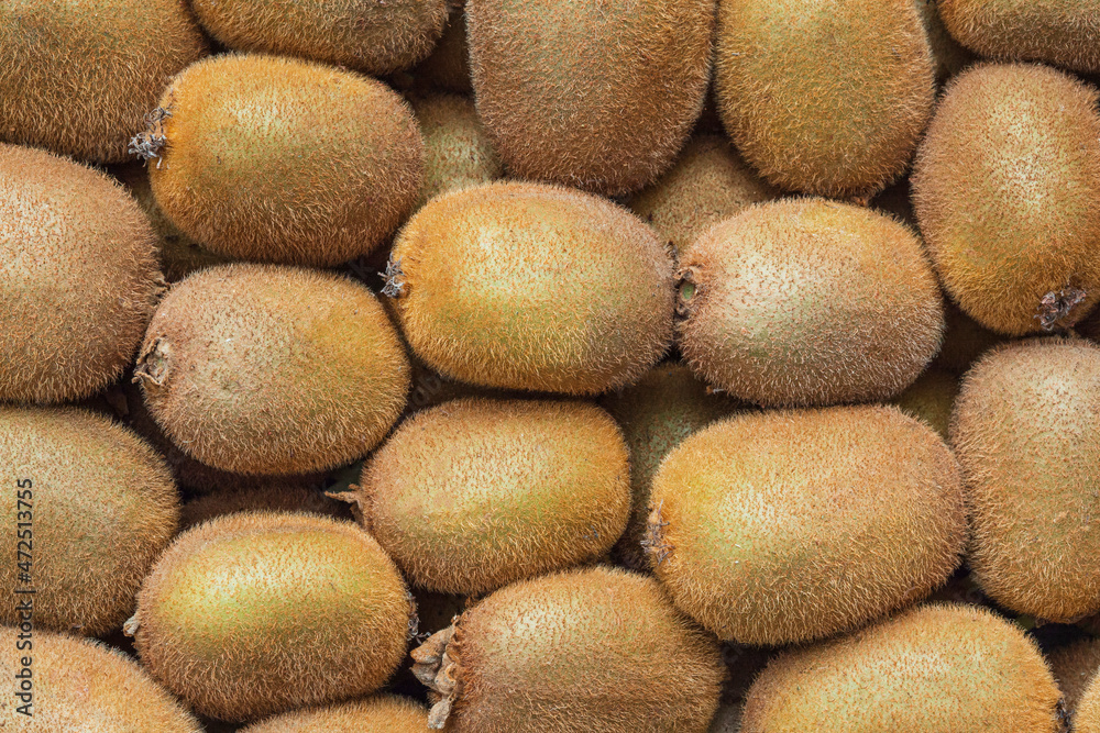 Fototapeta premium Kiwifruit