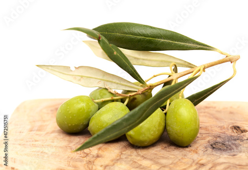 Agriculture of Gran Canaria -  small twigs of olive tree Olea europaea from Tirajana municipalities photo