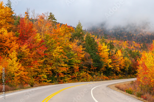 Colors of Autumn and Fog