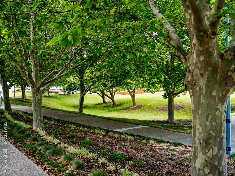 ANZAC Park is situated nearby to Rockingham city centre, close to Rockingham War Memorial. ANZAC Park is situated nearby to Rockingham city centre, close to Rockingham War Memorial.